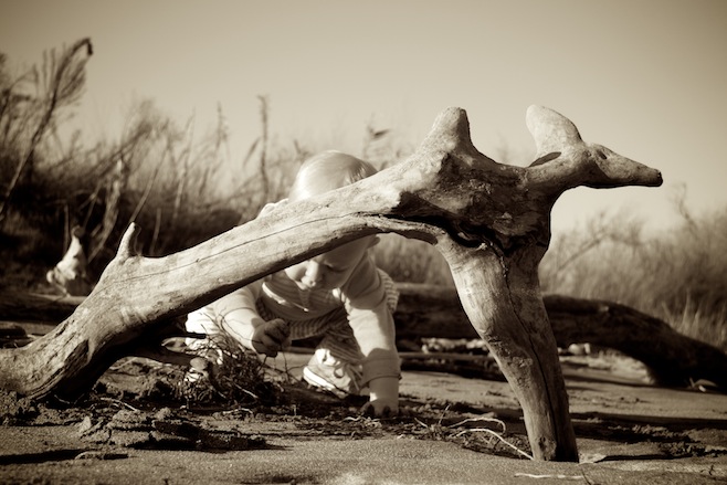 Beach Combing